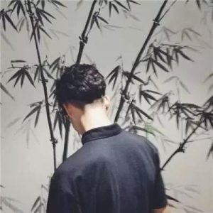 Profile photo of 994345795@qq.com